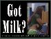 Got Milk?