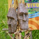 immunity-idol.jpg
